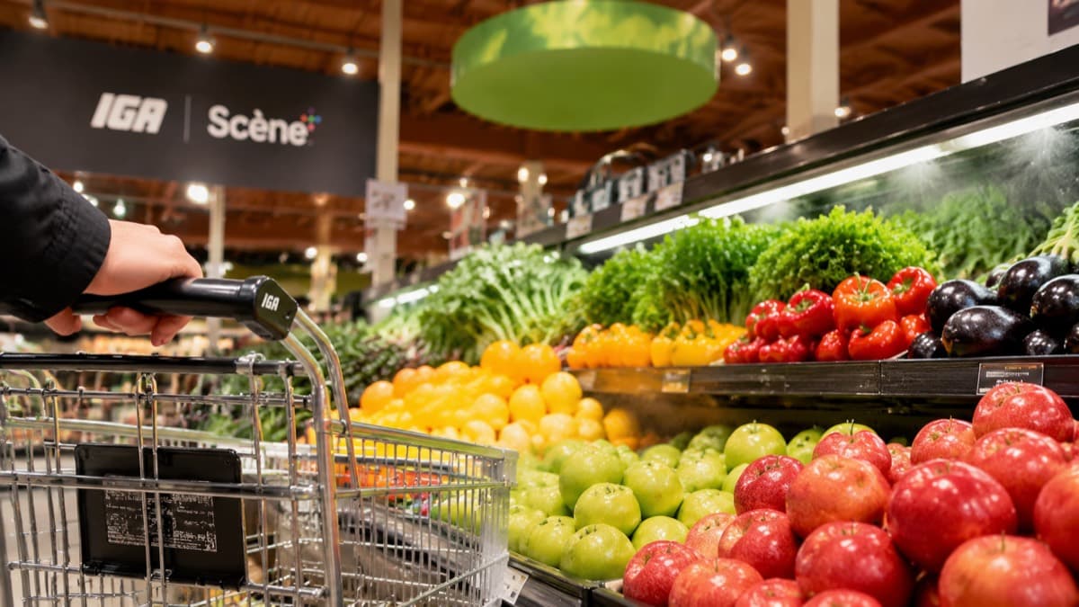 IGA Extra Marche Galvin 5